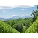 Properties for Sale_Restored Farmhouses _PRESTIGIOUS BED AND BREAKFAST FOR SALE IN LE MARCHE REGION Luxury tourist activity  in between the hills of Italy in Le Marche_22